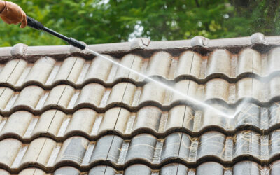 Roof Cleaning Sutherland Shire: Extend the Life of Your Roof