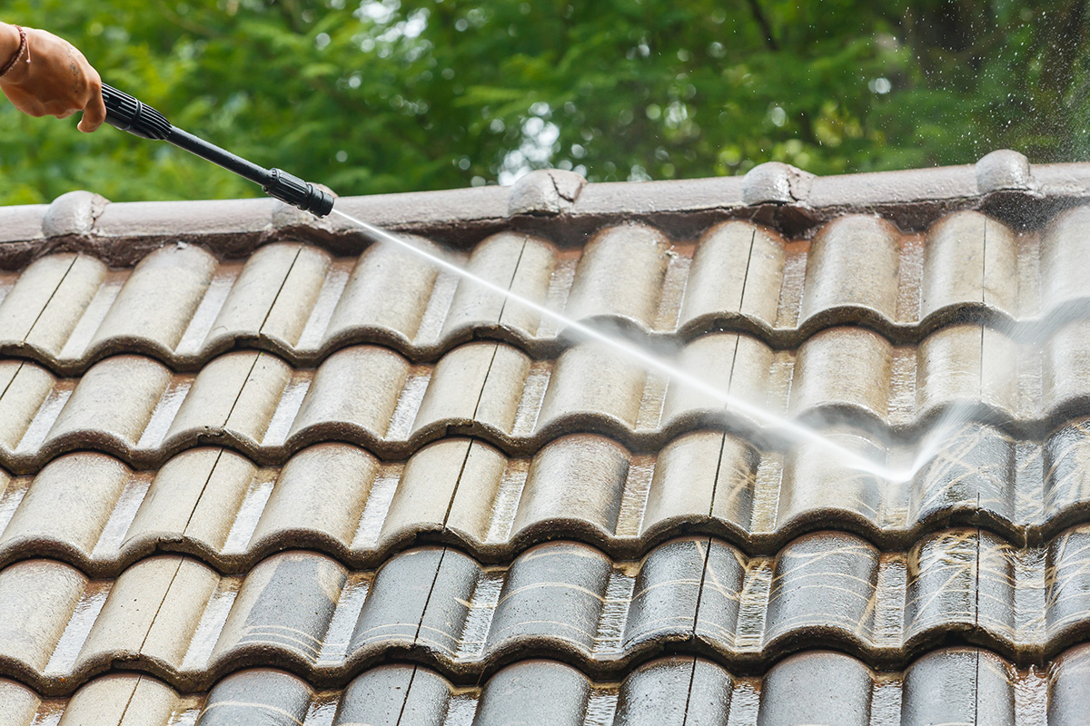 Roof Cleaning – Sutherland Shire Roof Cleaning - Sutherland Shire