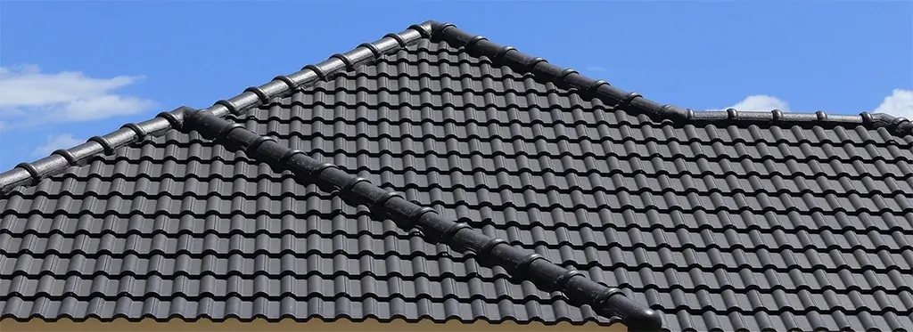 Roof Painting Sutherland Shire